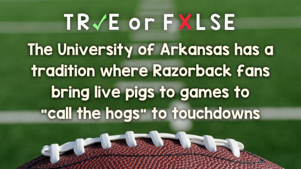 True or False: College Football Traditions image number null